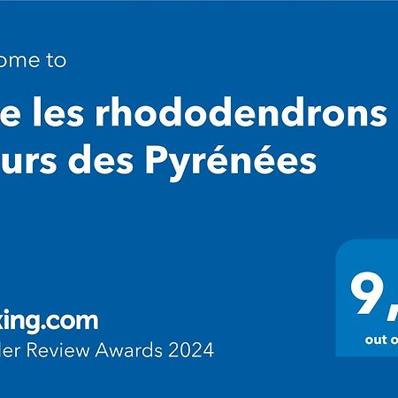 Gite Les Rhododendrons Fleurs Des Pyrenees Аржелес-Газост Екстер'єр фото